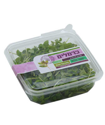 נבטי בזיל Basil Sprouts