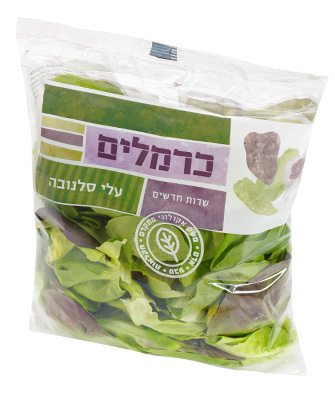 עלי סלנובה Salanova Lettuce