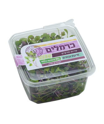 מיקס נבטים  Micro greens mix